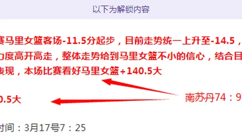 哈蘭德目前效力哪支球隊？